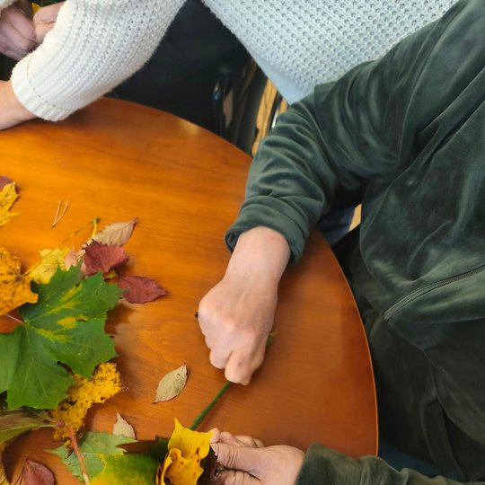 Iliustracija